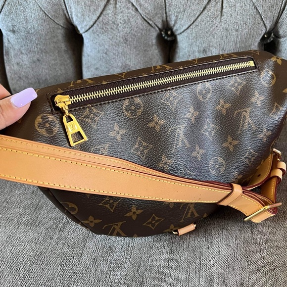 Louis Vuitton Monogram Bumbag - Picture 15 of 16